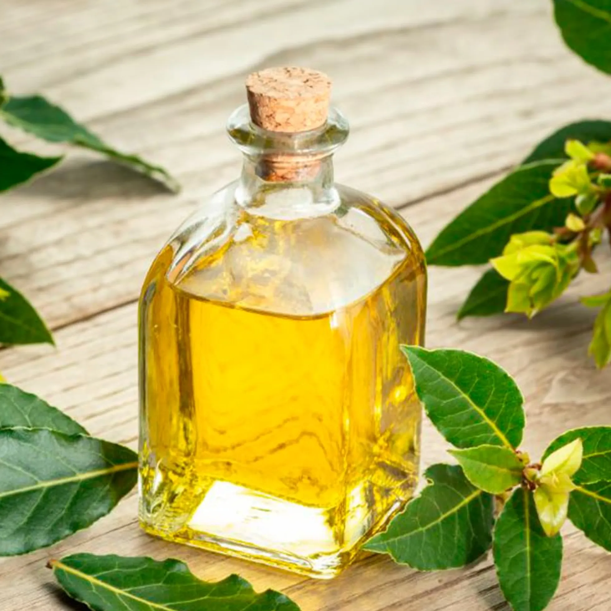 Pack 10 Jabón Natural De Laurel - Para Piel Grasa, Con Acné - Regula El Exceso De Grasa - Alivia Irritaciones Y Picores