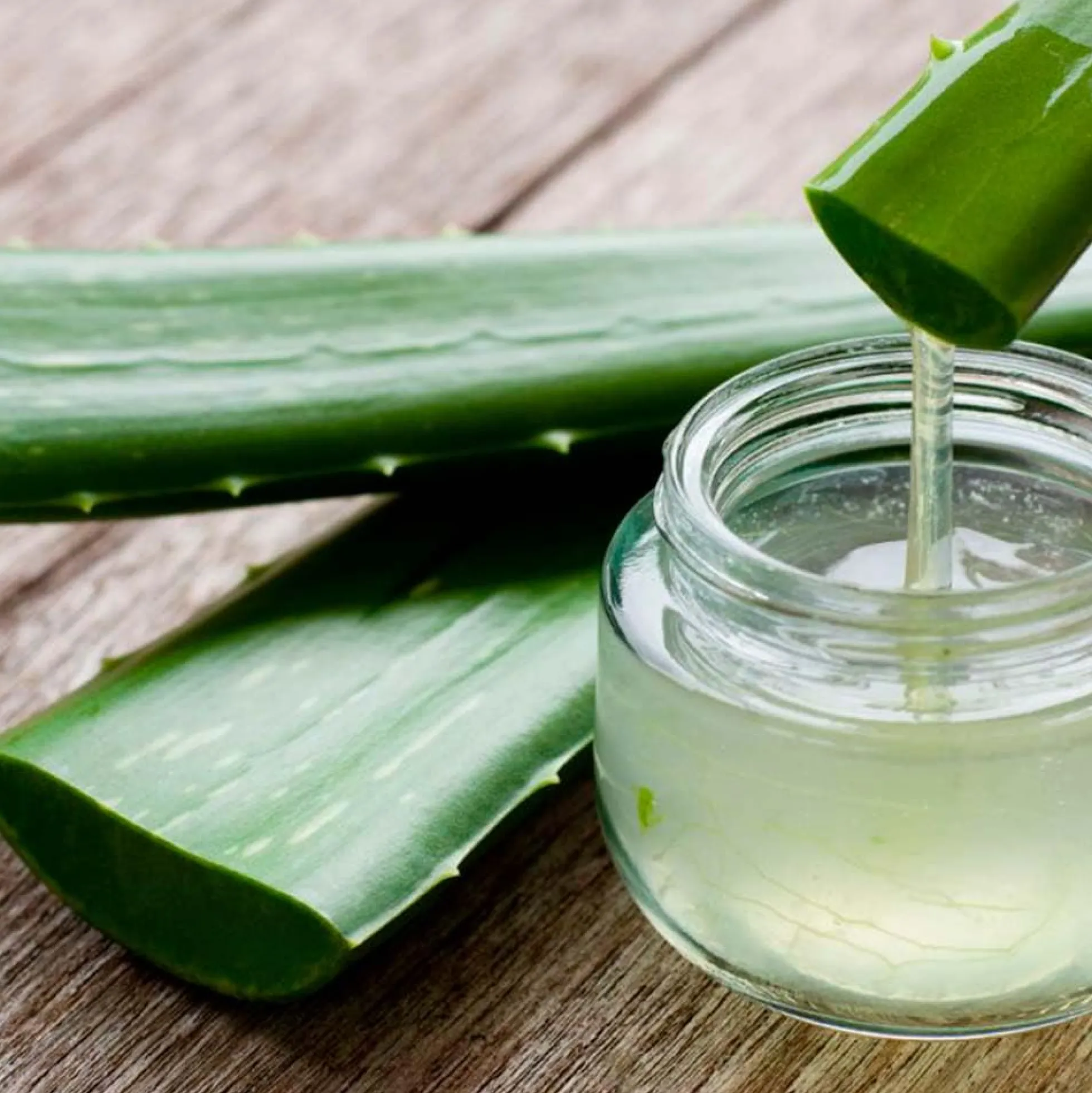 Pack 5 Jabón Natural De Leche De Burra Y Aloe Vera - Hidrata Y Nutre Piel Seca, Madura Y Dañada - Alivia Irritaciones