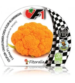 Pack Plantones Coliflor Híbrida F1 Naranja Lisboa 6 Ud. Natural - Fitoralia