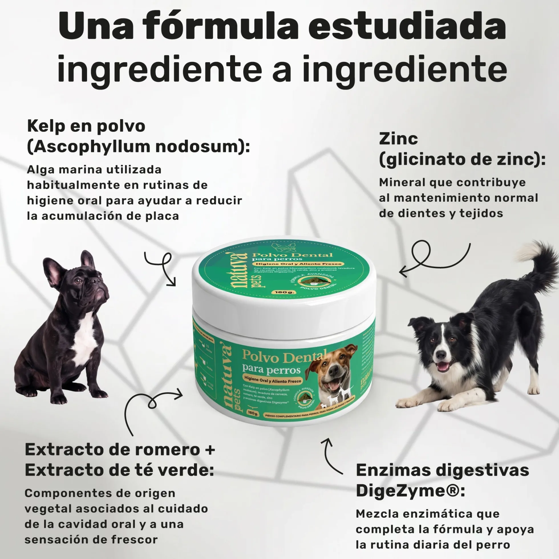 Pack Polvo Dental + Probiótico Para Perros. Suplementos Mascotas. 180 G Y 120 Masticables. Natuva Pets