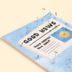 Pack 3 Postales Plantables Summer Vibes Semillas Naturales | Papel de Algodón Reciclado | Regalo Original - Resetea