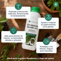 Pack "Raíces fuertes para el Otoño"