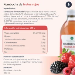 Pack 6x Kombucha ECO Frutos rojos Planeta Huerto 330 ml