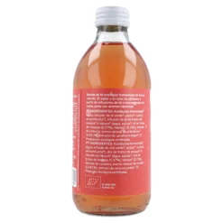 Pack 12x Kombucha ECO Frutos rojos Planeta Huerto 330 ml
