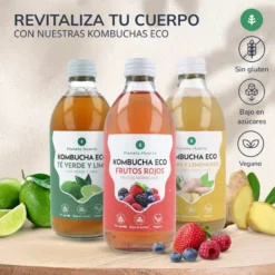 Pack 12x Kombucha ECO Jengibre y lemongrass Planeta Huerto 330 ml