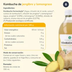 Pack 12x Kombucha ECO Jengibre y lemongrass Planeta Huerto 330 ml