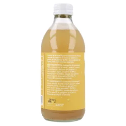 Pack 12x Kombucha ECO Jengibre y lemongrass Planeta Huerto 330 ml