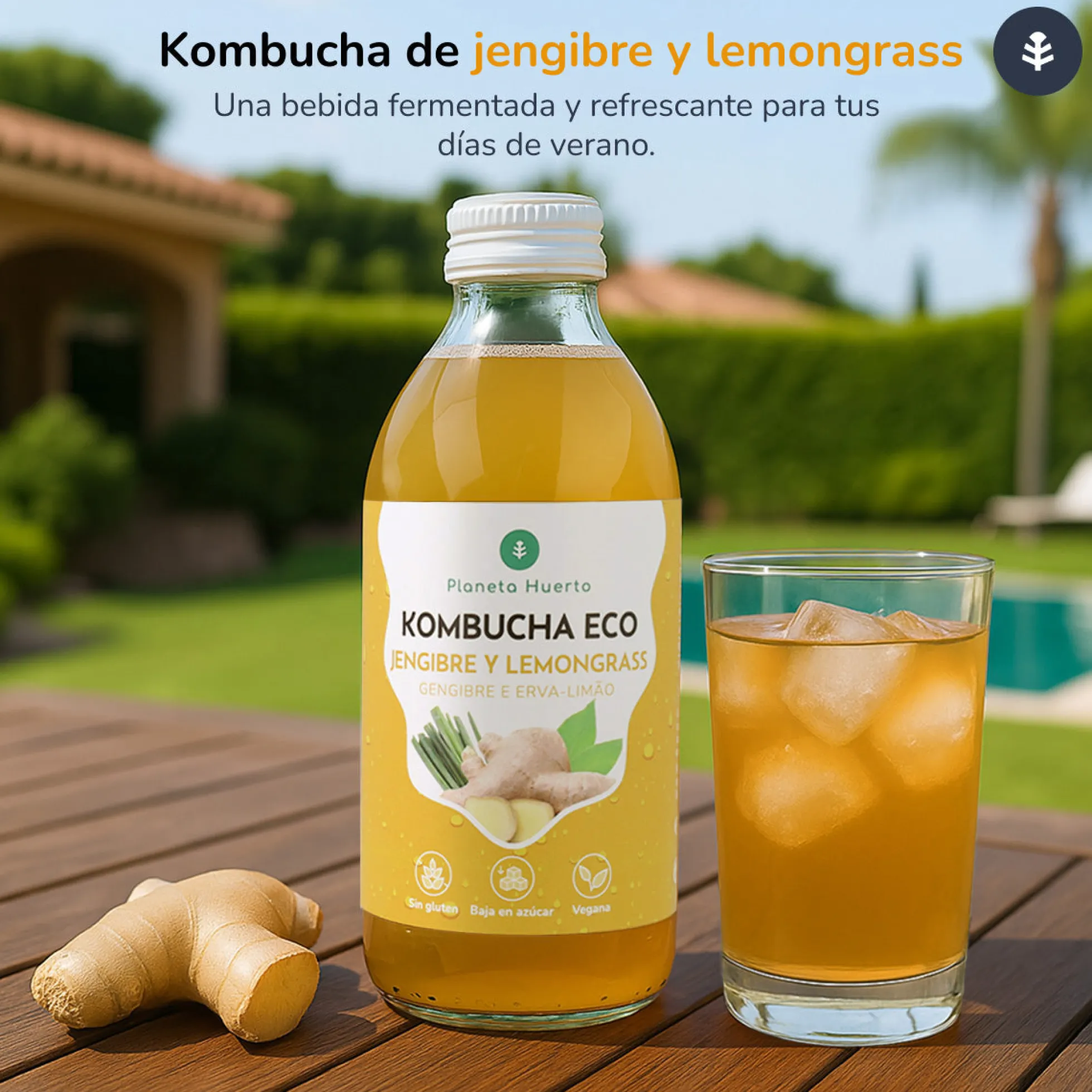 Pack 12x Kombucha ECO Jengibre y lemongrass Planeta Huerto 330 ml