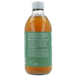 Pack 12x Kombucha ECO té verde y lima Planeta Huerto 330 ml