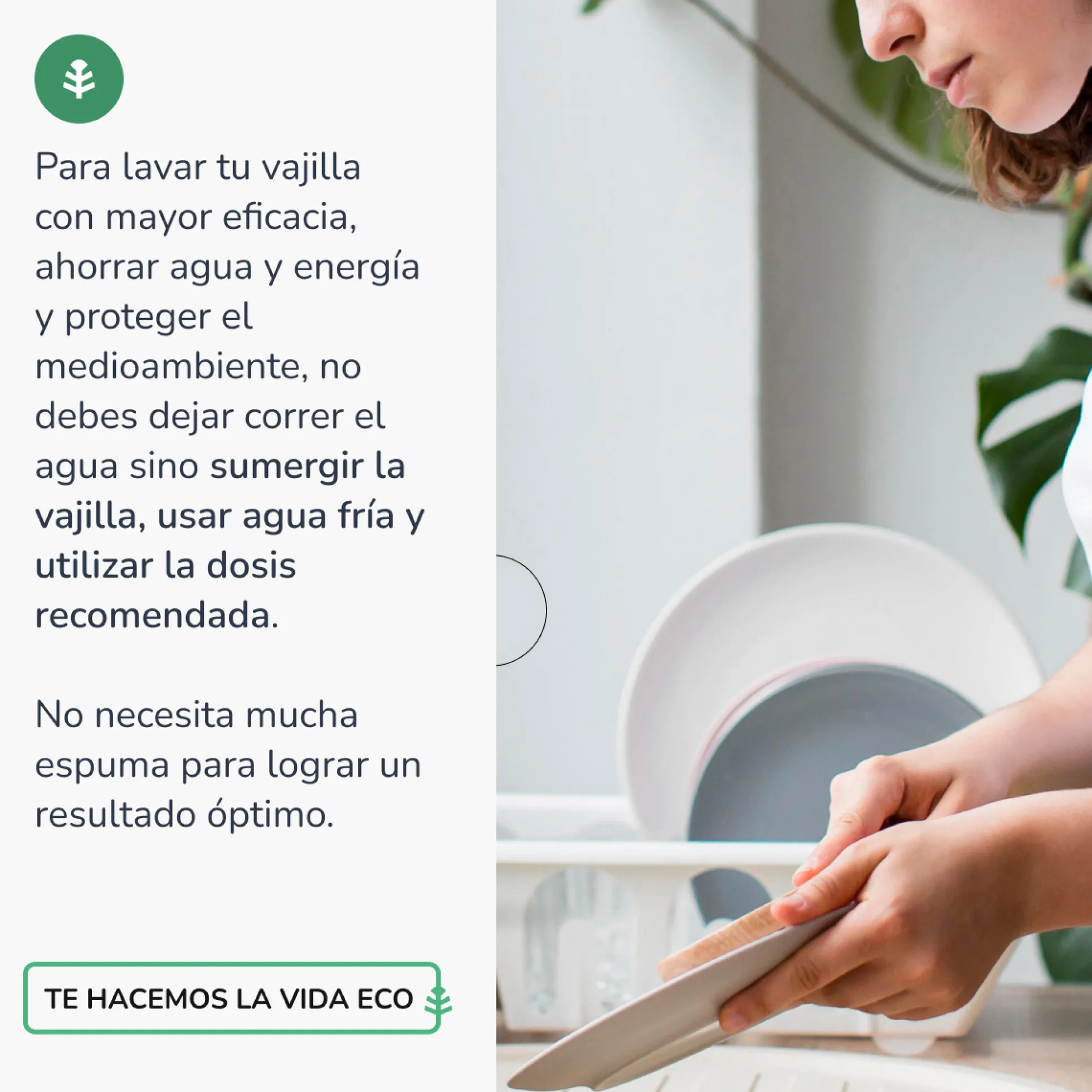 Pack 6xLavavajillas ManualTé Verde ECOPlaneta Huerto 5l