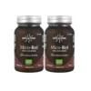 Pack 2x Mico Rei (Ganoderma lucidum) Hifas da Terra 70 cápsulas