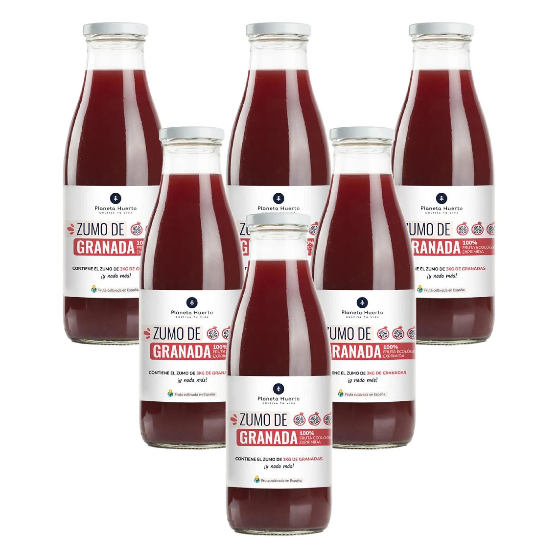 Pack 6x Zumo de Granada 100% fruta exprimida Eco Planeta Huerto 750ml