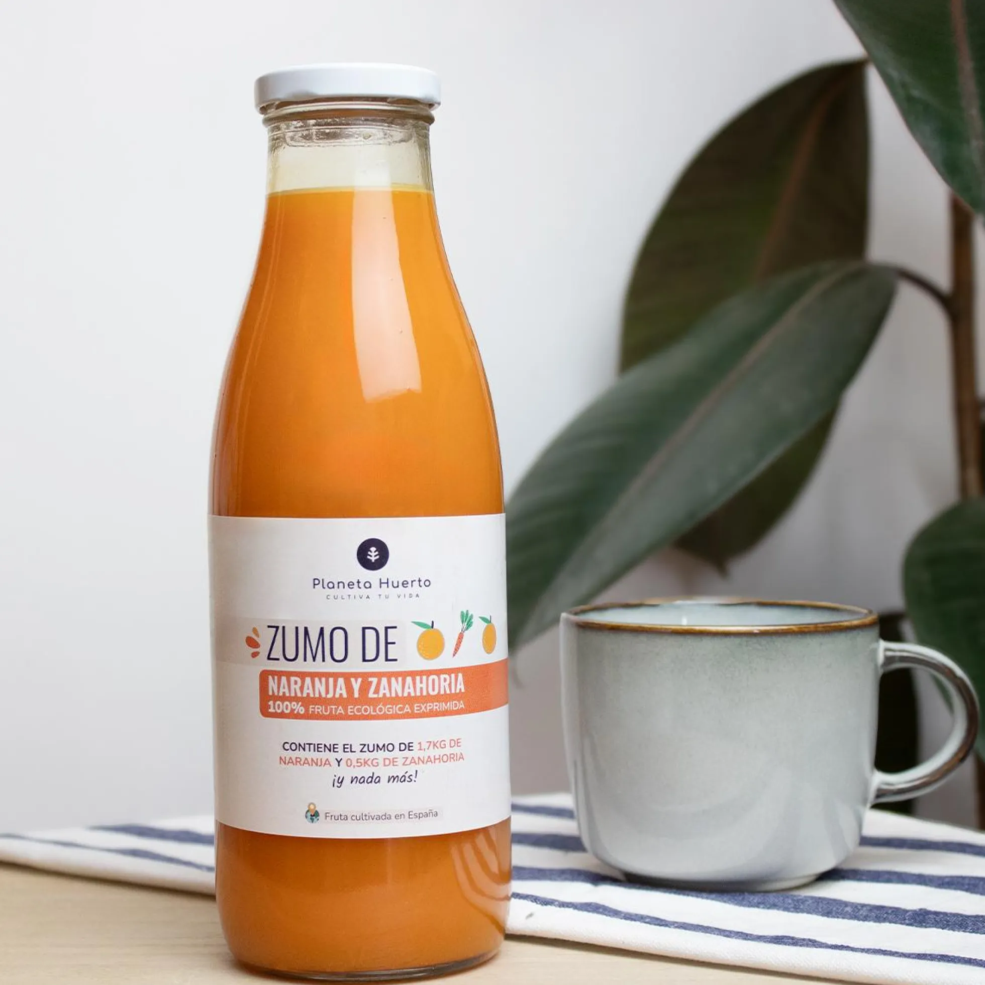 Pack 6x Zumo de Zanahoria y Naranja 100% fruta exprimida Eco Planeta Huerto 750ml