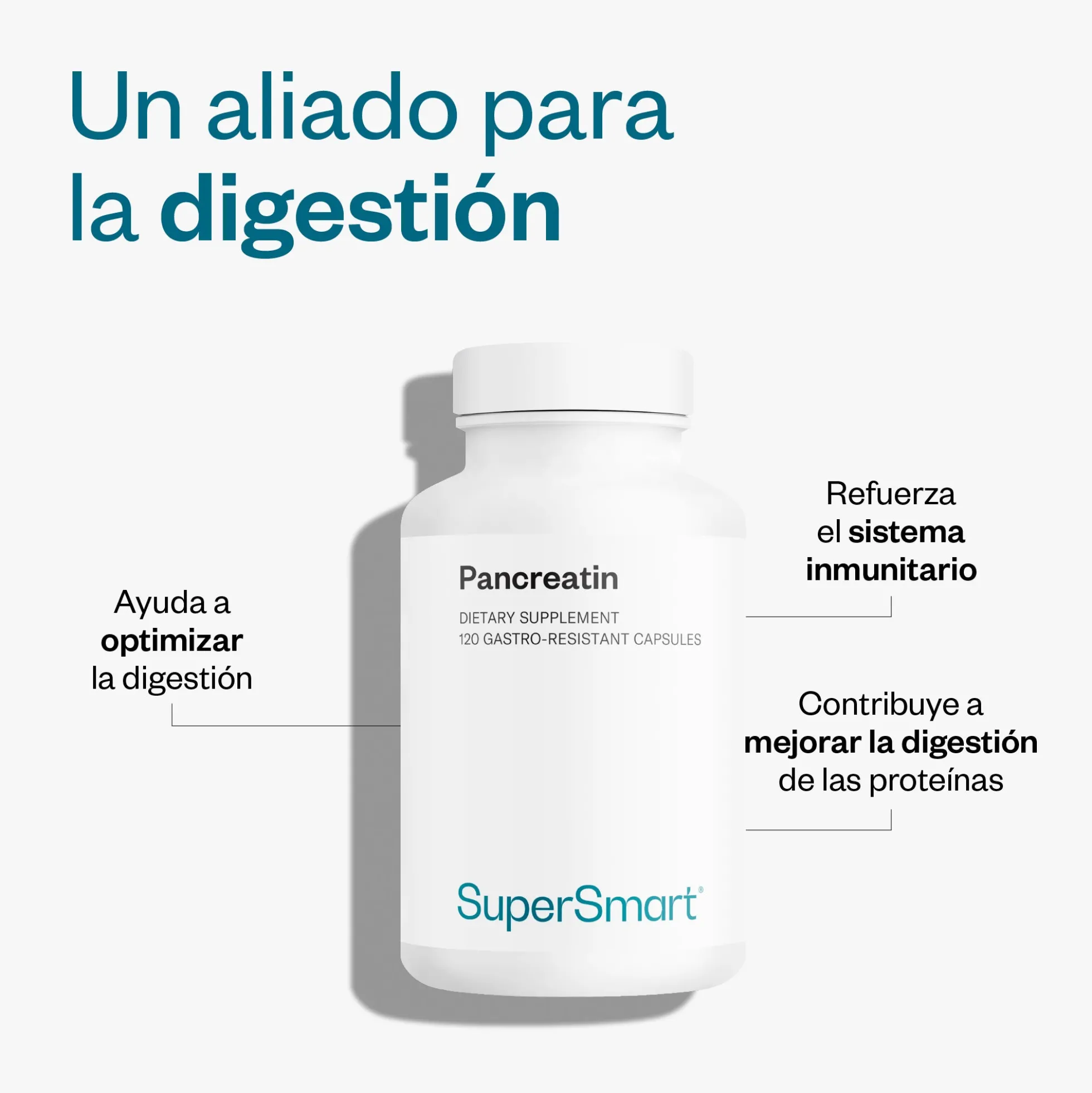 Pancreatin