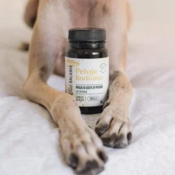Pelaje Radiante Cápsulas Omega 3 natural para mascotas Wild Balance 60 perlas