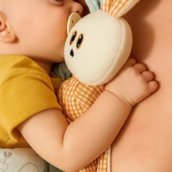 Peluche De Algodón Orgánico Gus