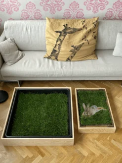 Petground, Cama Para Conejos, Caja De Madera, Accesorio, Mueble Xl: 120 X 42 Cm