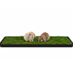 Petground, Parque Para Conejos, Casa De Césped Natural Xl: 120 X 40 Cm