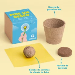 Pide un Deseo - Kit de Cultivo Diente de León con Semillas, Maceta y Sustrato, Regalo - Resetea