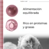 Pienso De Recría Poultry Feed