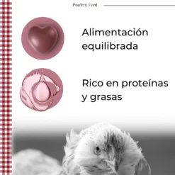 Pienso De Recría Poultry Feed