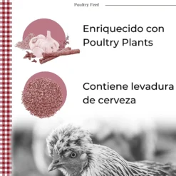 Pienso De Recría Poultry Feed