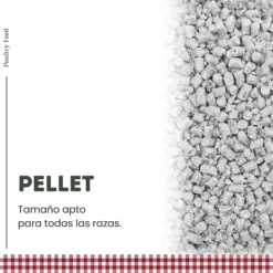 Pienso De Recría Poultry Feed