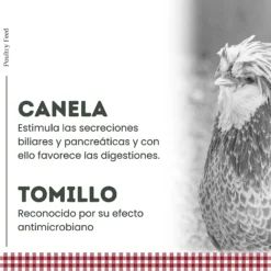 Pienso Para Gallinas Poultry Feed Puesta