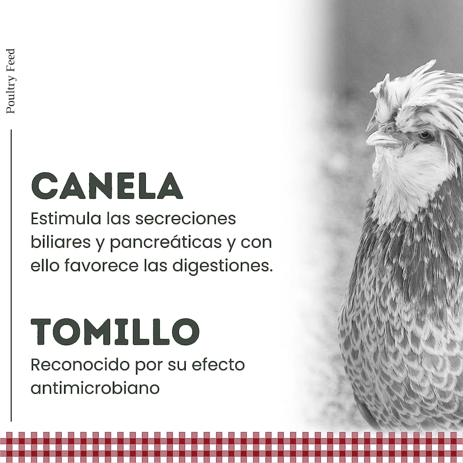 Pienso Para Gallinas Poultry Feed Puesta