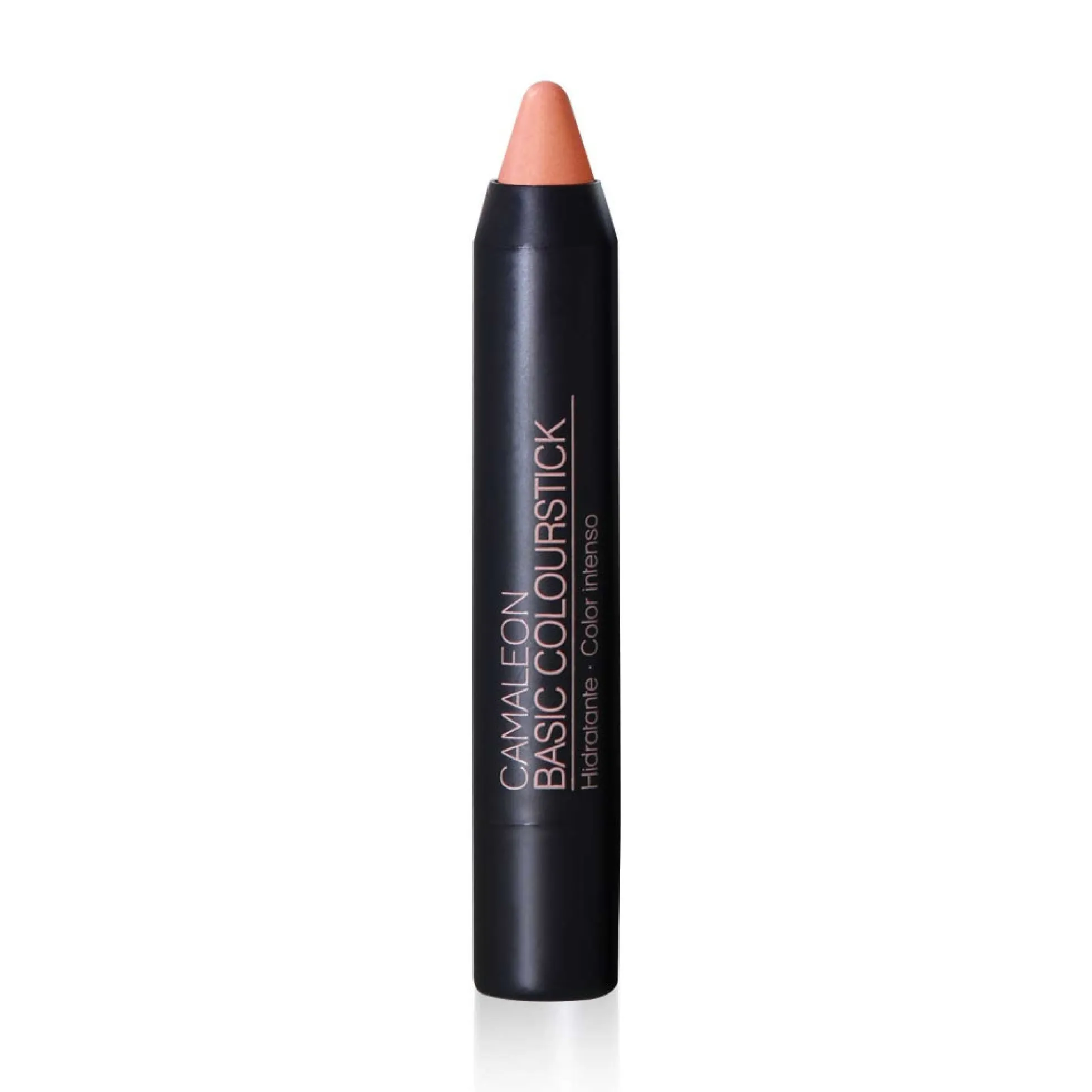 Pintalabios Arena Basic Colourfun 4g Camaleon Cosmetics