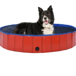Piscina Para Perros Plegable Pvc Rojo 160x30 Cm