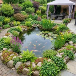 Plantas Borde Estanque 2-3m2 - Sedum - Helecho Exterior - Hedera - 36 Plantas