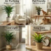 Plantas De Interior - 6 Con Cesta - Purificadoras Y Fáciles De Cuidar
