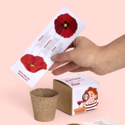 Planta y Descubre – Kit Educativo Partes de una Flor, Aprende Botánica para Niños (STEM) - Resetea