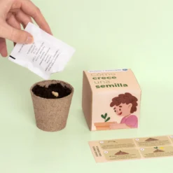 Planta y Descubre – Kit Germinación para Niños, Aprende Cómo Crece una Semilla (STEM) - Resetea