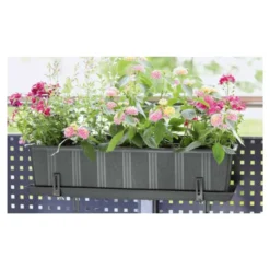 Plato Para Maceta Rectangular, 50 Cm, Antracita