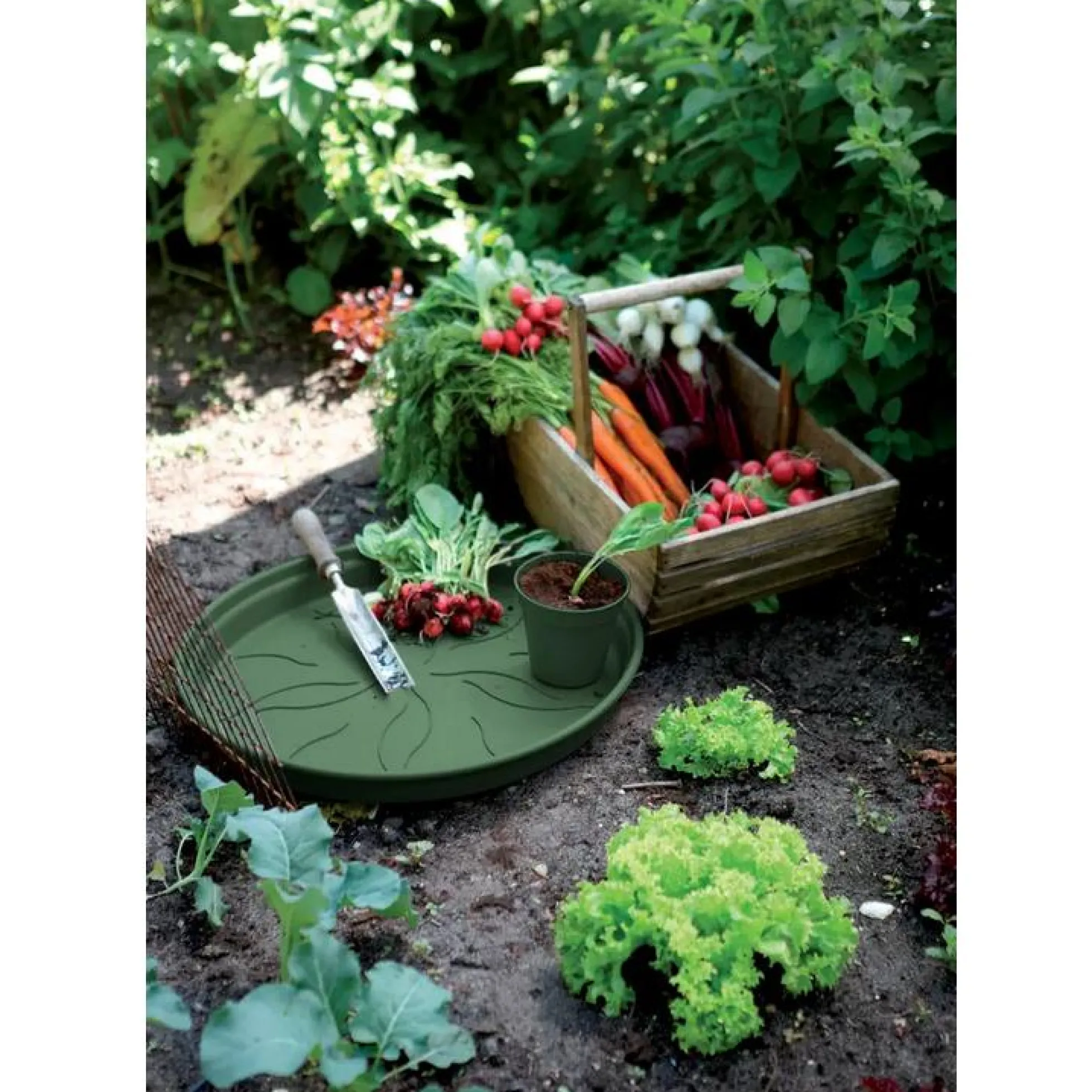 Plato tiesto Green Basics Elho Verde 25 cm