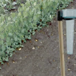 Pluviometro De Jardin Pluvio Verde Nortene