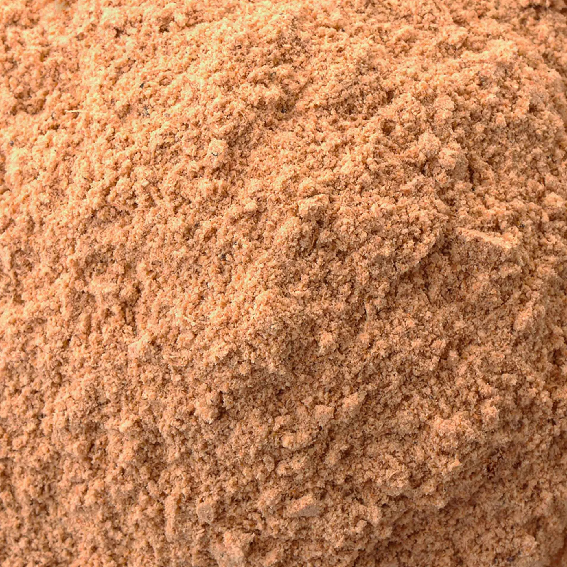 Polvo De Hongo Shiitake Ecológico 100g
