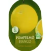Pomelo Blanco Tb20 100cm