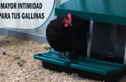 Ponedero Eco De 3 Huecos Inverso - Recoge Los Huevos Desde El Exterior.