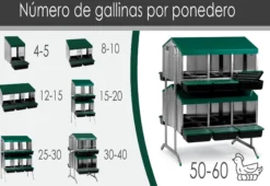 Ponedero Para Gallinas Con Cajón Escamoteador - 12 Huecos