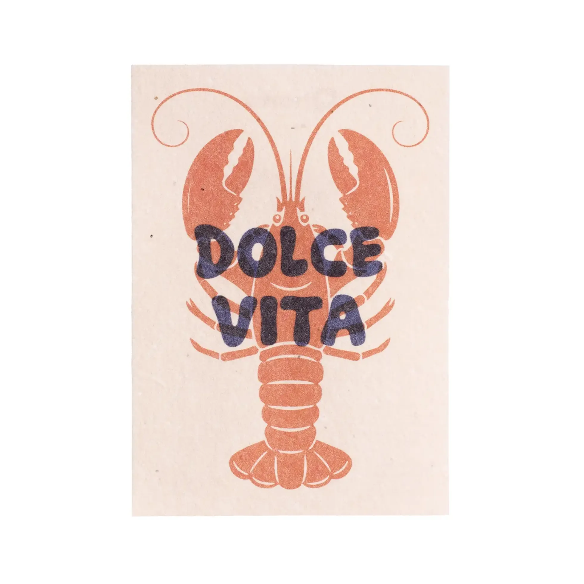 Postal Plantable Dolce Vita Semillas de Flores | Papel de Algodón Reciclado | Regalo Original - Resetea