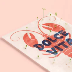 Postal Plantable Dolce Vita Semillas de Flores | Papel de Algodón Reciclado | Regalo Original - Resetea