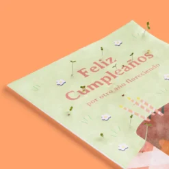 Postal Plantable Feliz Cumpleaños con Semillas de Manzanilla – Felicitación Original - Resetea
