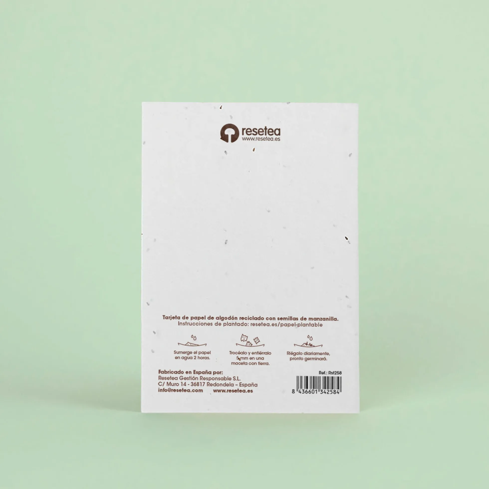 Postal Plantable "Los Deseos Que Se Plantan Se Cumplen" Semillas de Manzanilla | Regalo Original con Sobre - Resetea