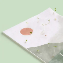 Postal Plantable "Los Deseos Que Se Plantan Se Cumplen" Semillas de Manzanilla | Regalo Original con Sobre - Resetea