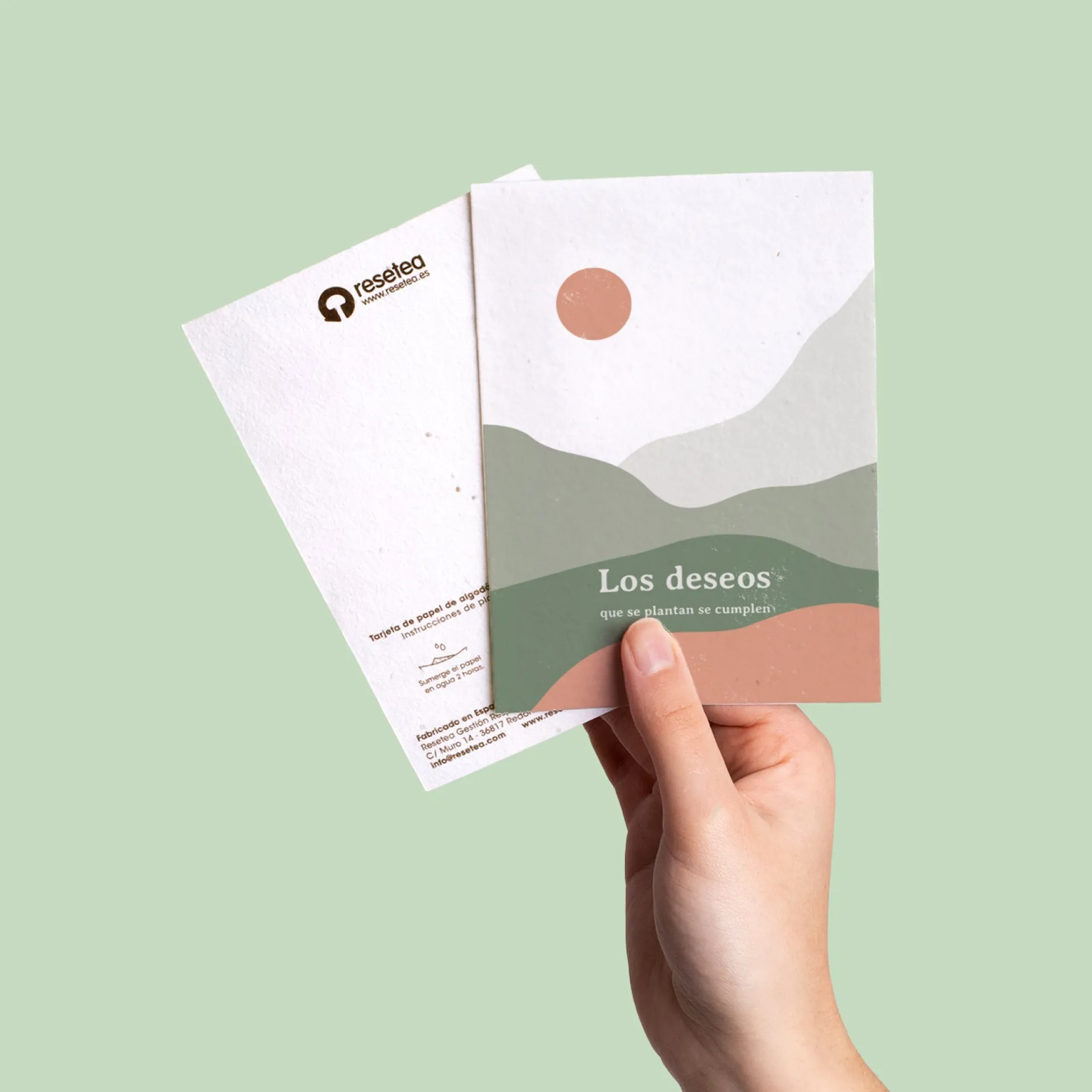 Postal Plantable "Los Deseos Que Se Plantan Se Cumplen" Semillas de Manzanilla | Regalo Original con Sobre - Resetea