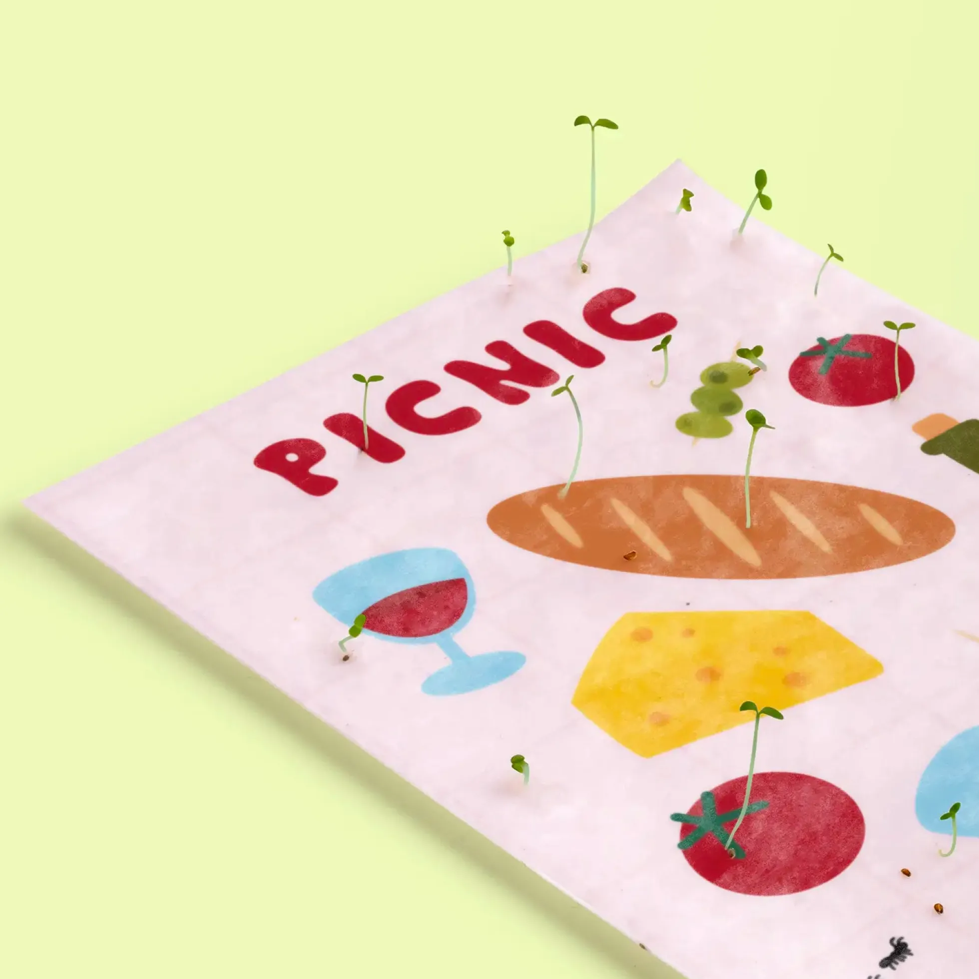 Postal Plantable Picnic Semillas de Flores | Papel de Algodón Reciclado | Regalo Original - Resetea