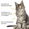 Propóleo ECO para perros y gatos – Defensas naturales – 100 g